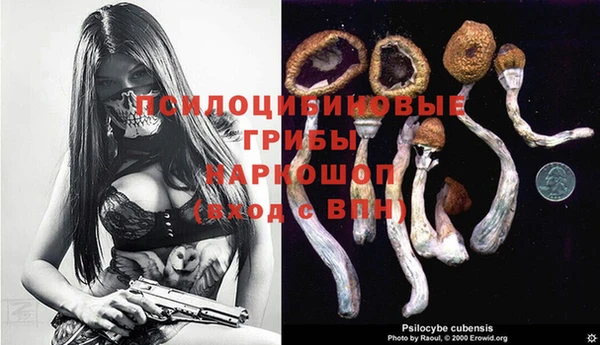 герыч Покачи